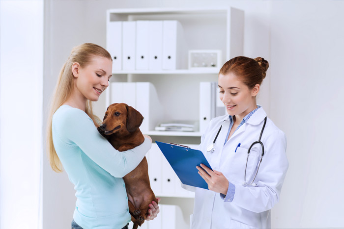 ЭЦП для оформления ветеринарных сертификатов (ГИС Меркурий) в Кумертау